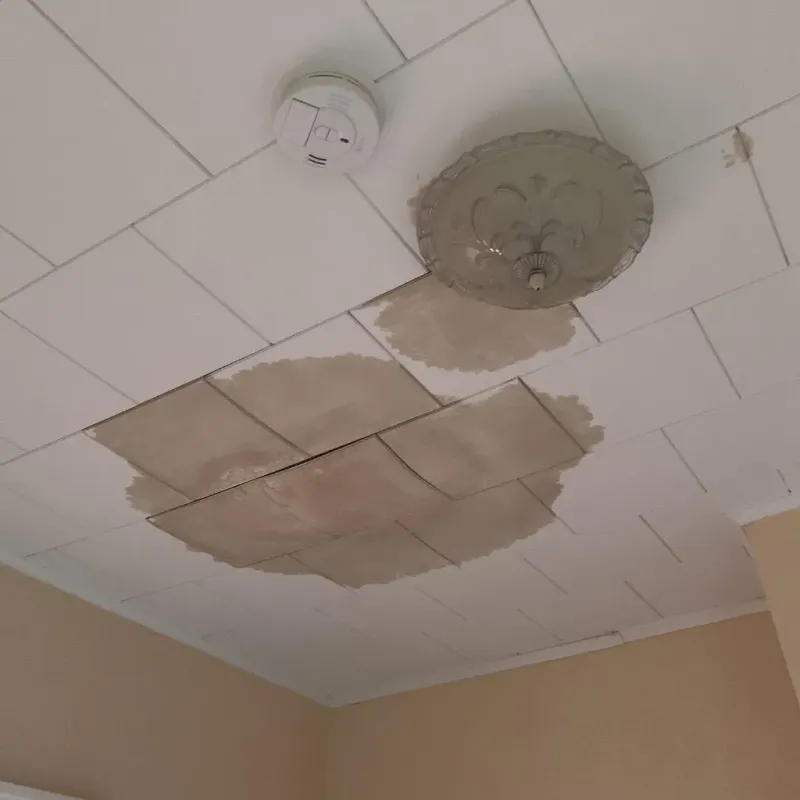 Ceiling Water Damage Repair in Sioux Falls, SD