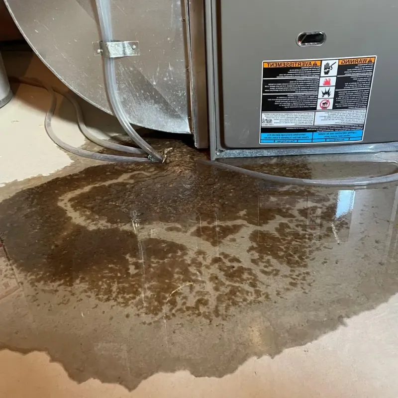 Pipe Burst and Leak Restoration in Sioux Falls, SD